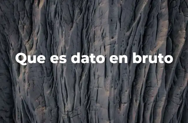 Que es Dato en Bruto