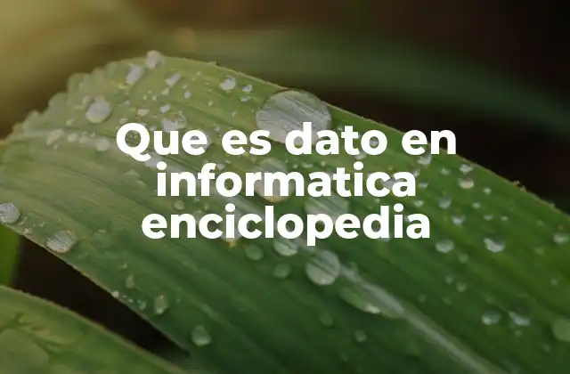 Que es Dato en Informatica Enciclopedia
