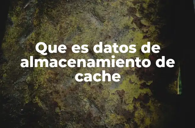 Que es Datos de Almacenamiento de Cache