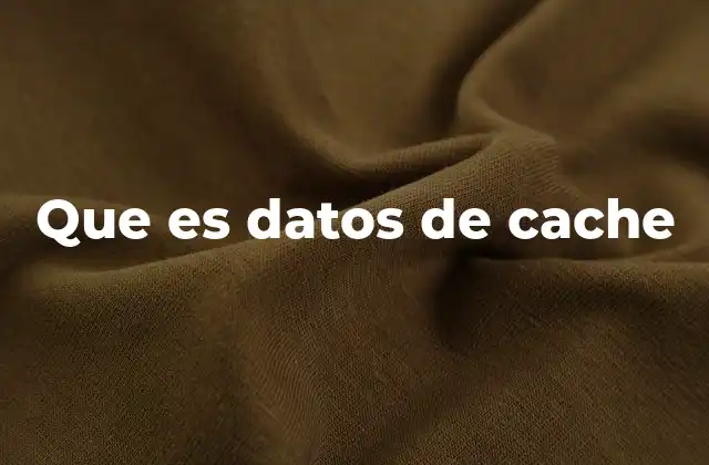 Que es Datos de Cache 2 Cómo los sistemas utilizan los datos de cache