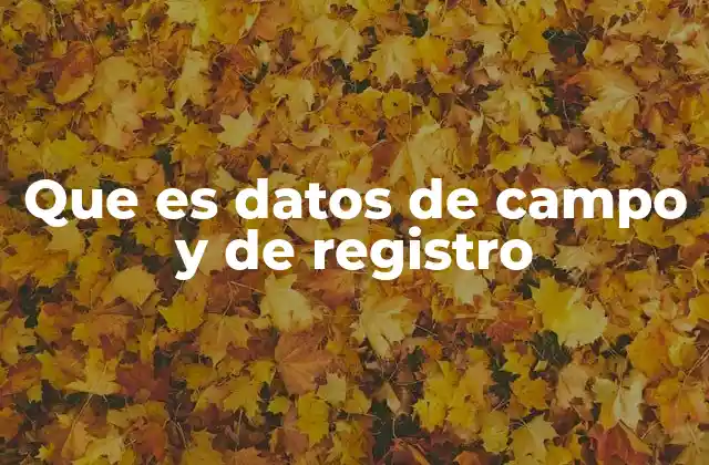 Que es Datos de Campo y de Registro