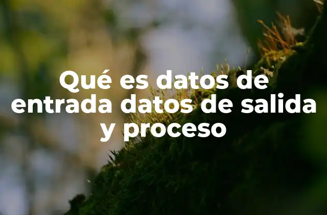 Qué es Datos de Entrada Datos de Salida y Proceso