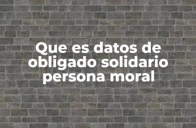 Que es Datos de Obligado Solidario Persona Moral