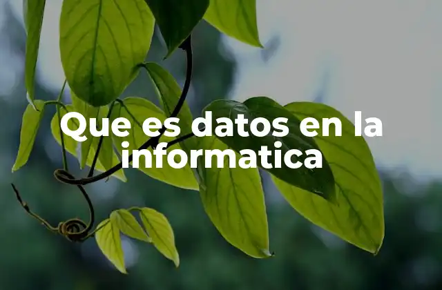 Que es Datos en la Informatica