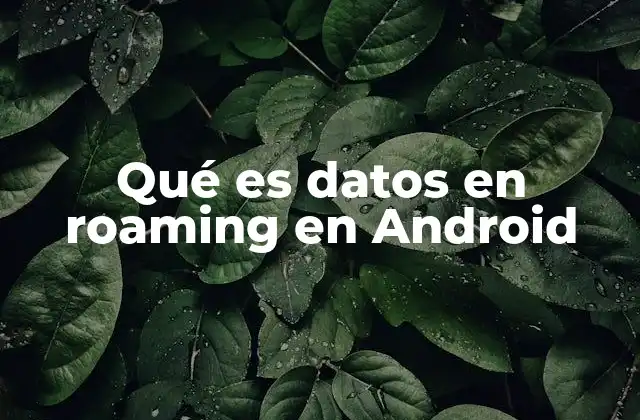 Qué es Datos en Roaming en Android