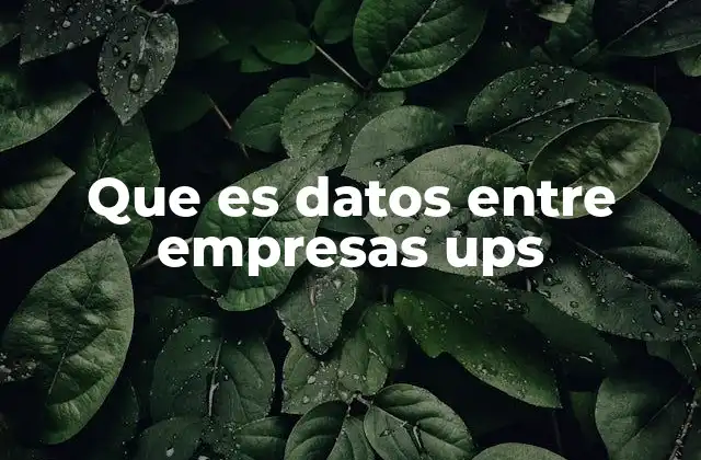 La importancia de la protección de datos en la colaboración empresarial