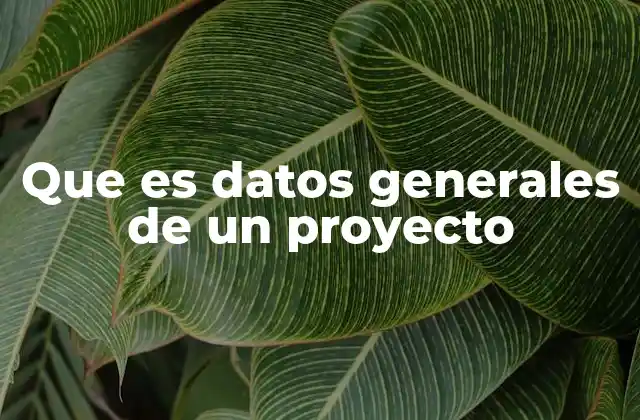 Que es Datos Generales de un Proyecto 2 La importancia de la información básica en la gestión de proyectos