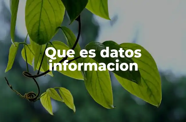 Que es Datos Informacion