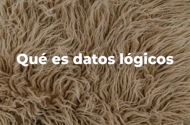 Qué es Datos Lógicos