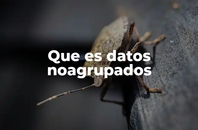 Que es Datos Noagrupados