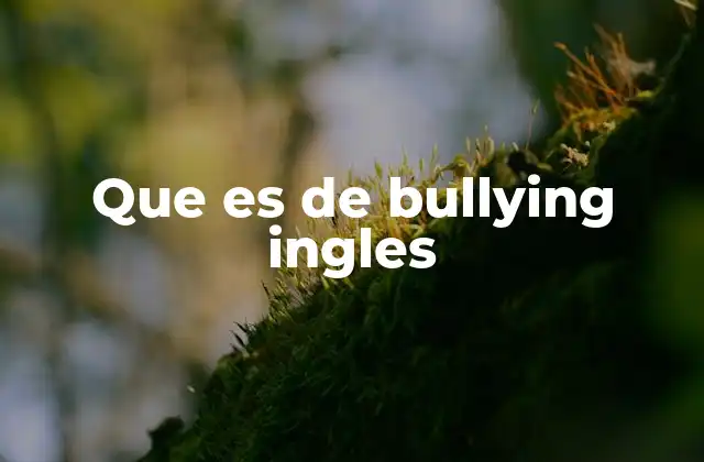 Que es de Bullying Ingles