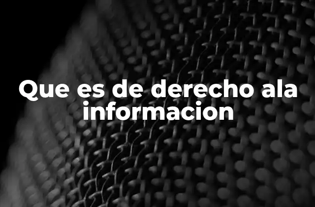 Que es de Derecho Ala Informacion