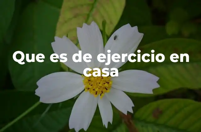 Que es de Ejercicio en Casa 2 Actividad física sin salir de casa