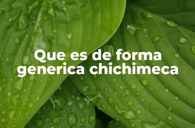 Que es de Forma Generica Chichimeca