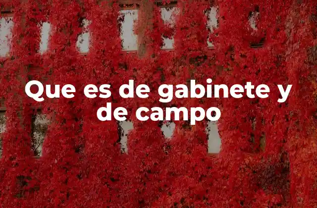Que es de Gabinete y de Campo