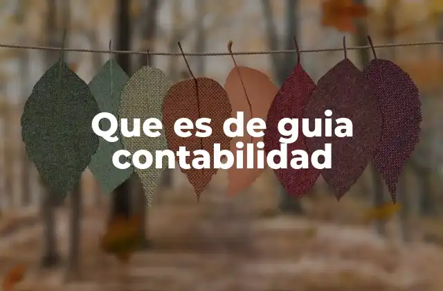 Que es de Guia Contabilidad