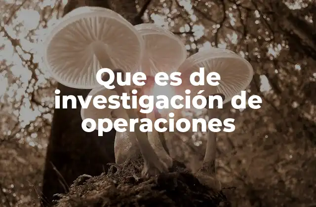Que es de Investigación de Operaciones