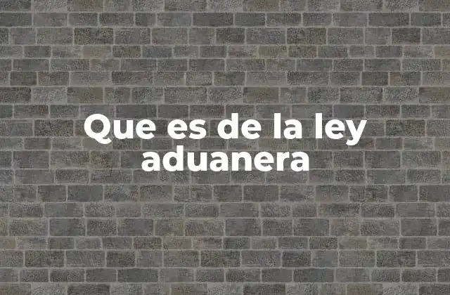 Que es de la Ley Aduanera