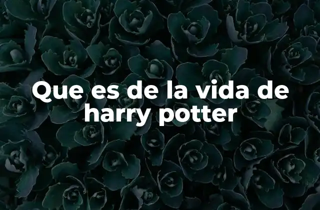 Que es de la Vida de Harry Potter 2 La formación y desarrollo de Harry Potter