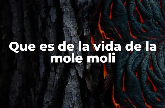 La frase como reflejo de la identidad cultural mexicana