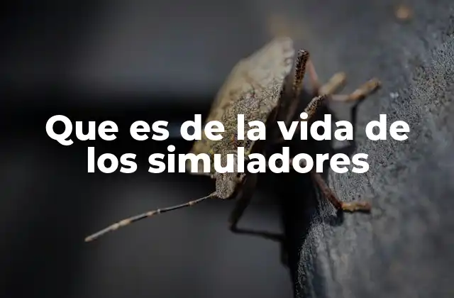 Que es de la Vida de los Simuladores