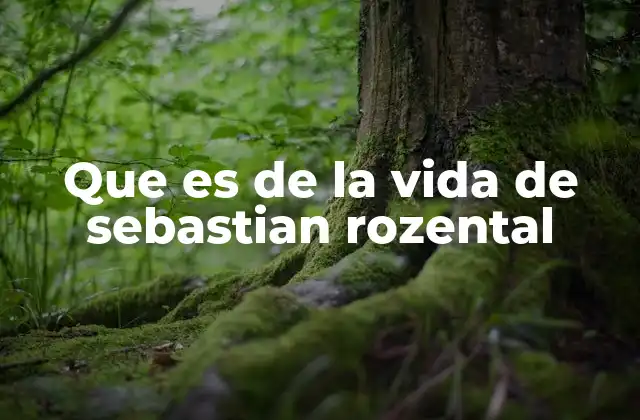 Que es de la Vida de Sebastian Rozental