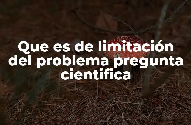 Que es de Limitación Del Problema Pregunta Cientifica 2 La importancia de definir los límites en la investigación científica