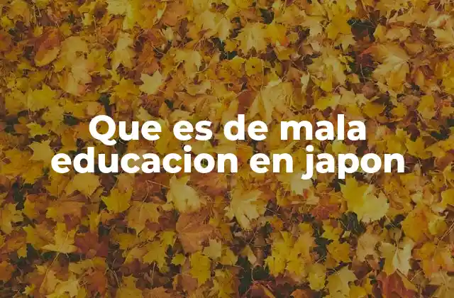 Que es de Mala Educacion en Japon