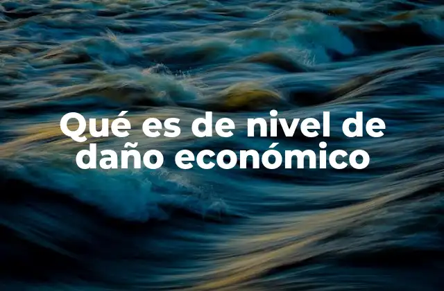 Qué es de Nivel de Daño Económico