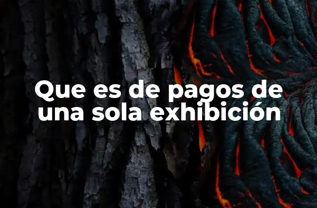 Que es de Pagos de una Sola Exhibición