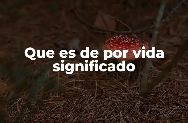 Que es de por Vida Significado