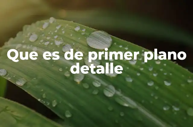 Que es de Primer Plano Detalle