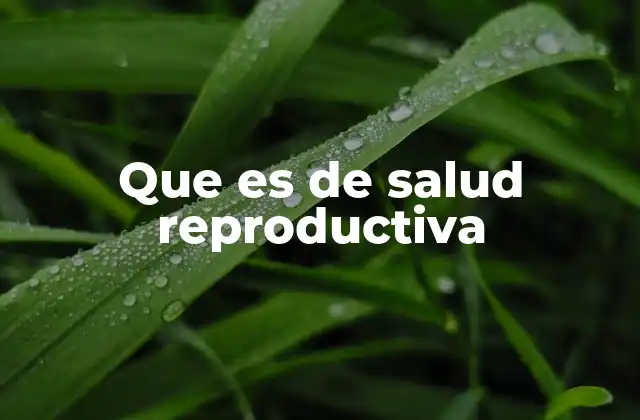 Que es de Salud Reproductiva