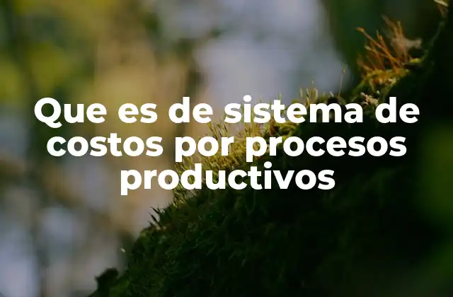 Que es de Sistema de Costos por Procesos Productivos