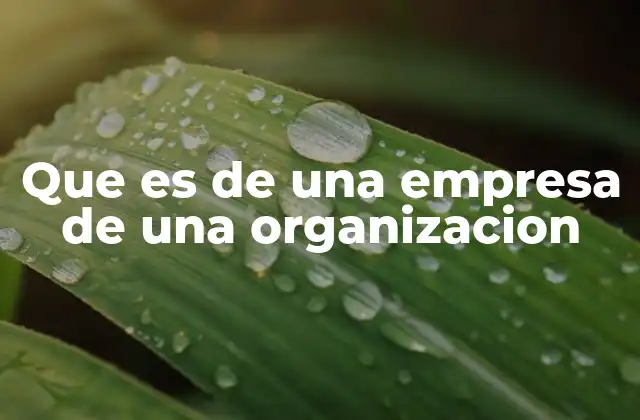 Que es de una Empresa de una Organizacion