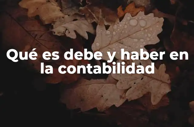 Qué es Debe y Haber en la Contabilidad