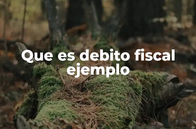 Que es Debito Fiscal Ejemplo