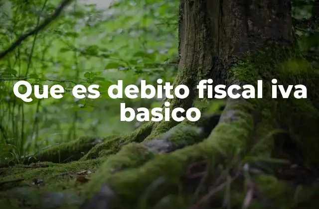 Que es Debito Fiscal Iva Basico 2 El IVA y su papel en el sistema fiscal