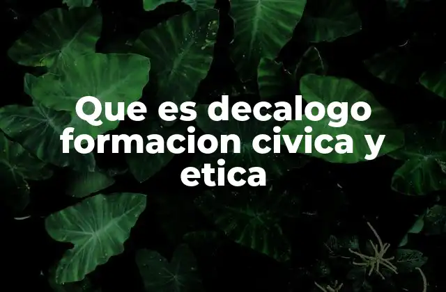 Que es Decalogo Formacion Civica y Etica