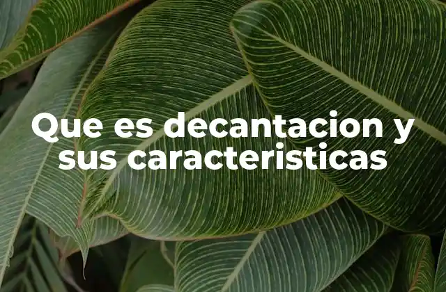 Que es Decantacion y Sus Caracteristicas