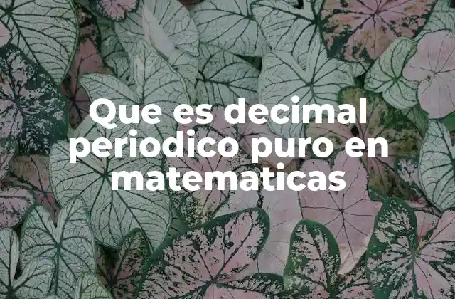 Que es Decimal Periodico Puro en Matematicas 2 El papel de los decimales periódicos en la representación de fracciones