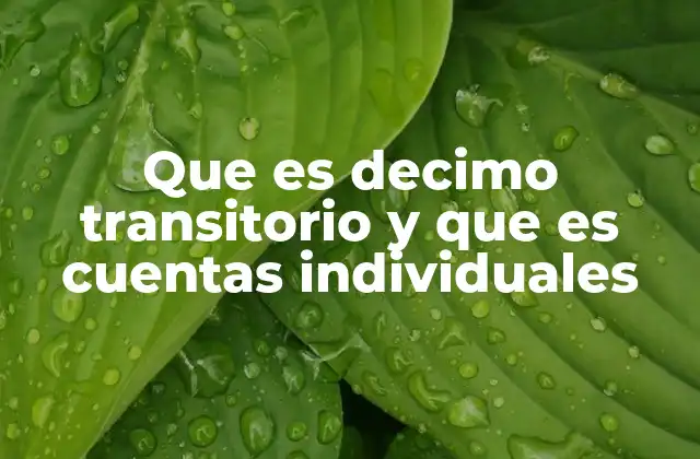 Décimo transitorio y cuentas individuales: herramientas esenciales en la administración de nómina