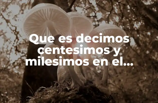 Que es Decimos Centesimos y Milesimos en el Diccionarios