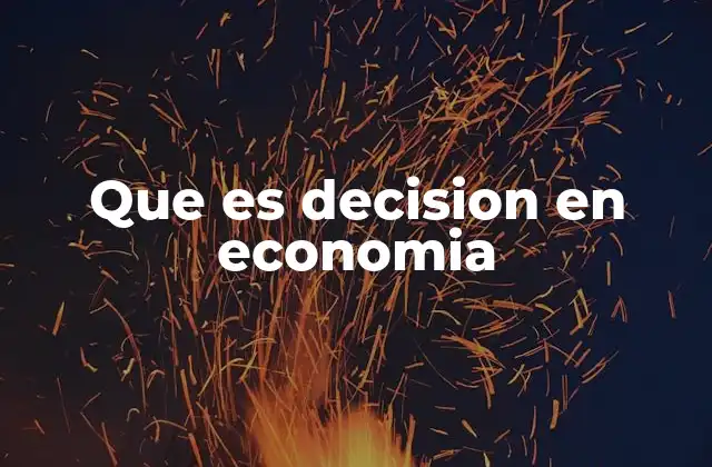 Que es Decision en Economia