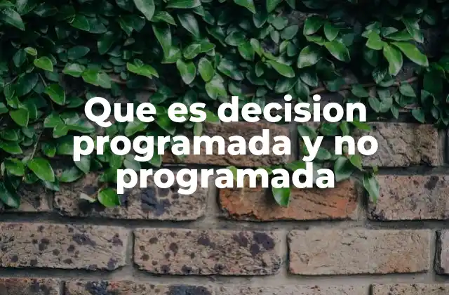 Que es Decision Programada y No Programada