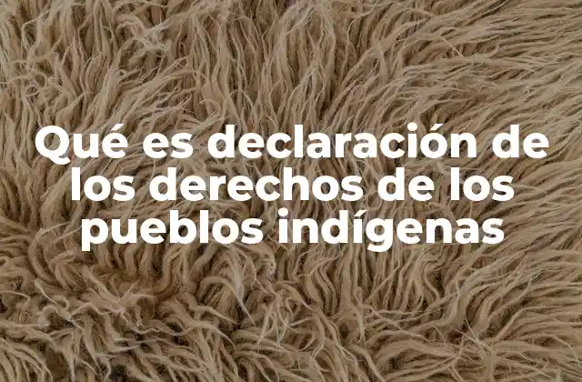 Qué es Declaración de los Derechos de los Pueblos Indígenas