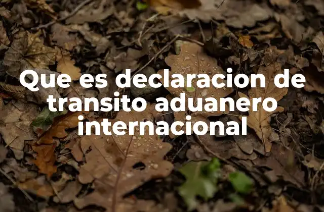 Que es Declaracion de Transito Aduanero Internacional