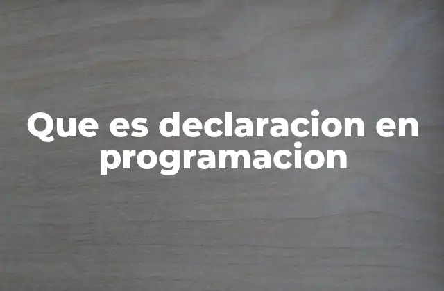 Que es Declaracion en Programacion