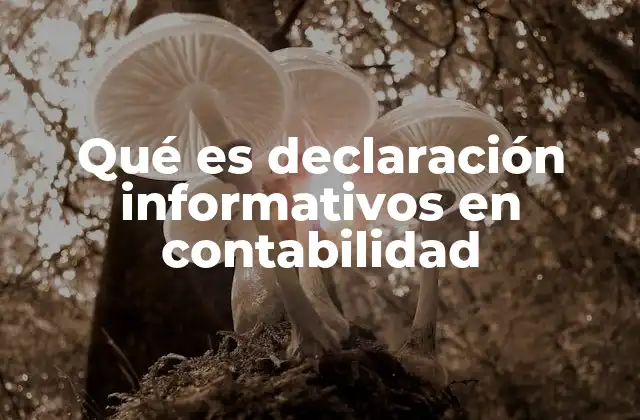 Qué es Declaración Informativos en Contabilidad 2 El papel de la información adicional en los estados financieros