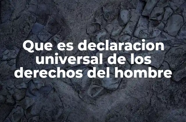 Que es Declaracion Universal de los Derechos Del Hombre